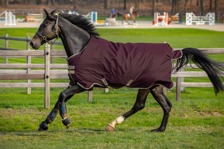 Horseware AMIGO Pferdedecke Hero Ripstop Lite Horseware AMIGO Pferdedecke Hero Ripstop Lite